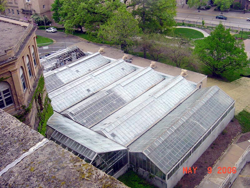 exterior view of greenhouse