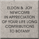 example of a donor paver