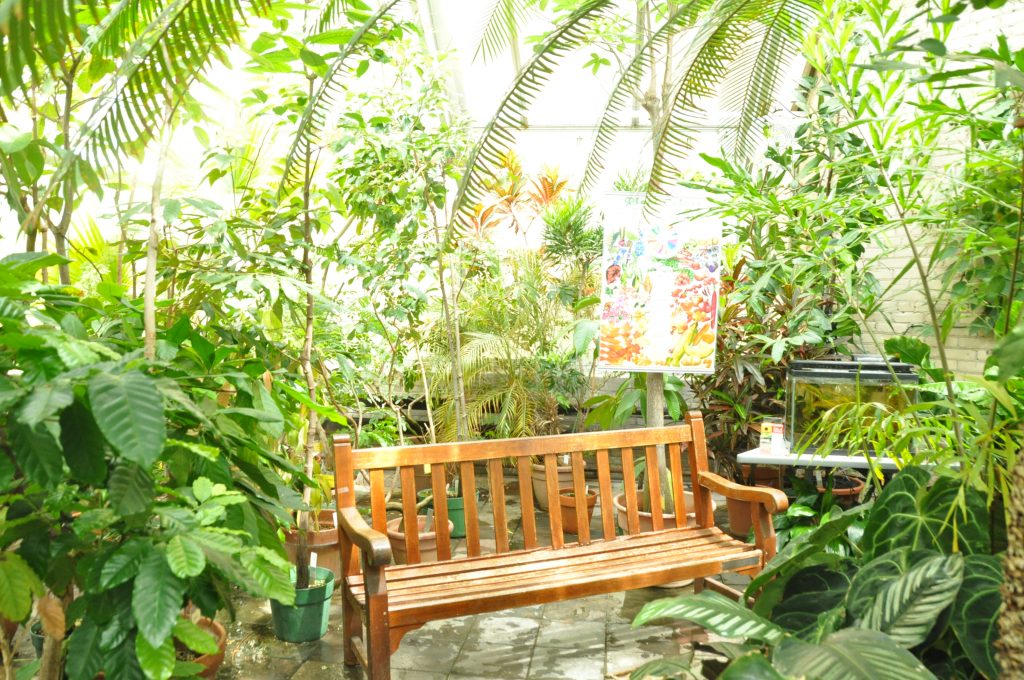 bench in greenhouse