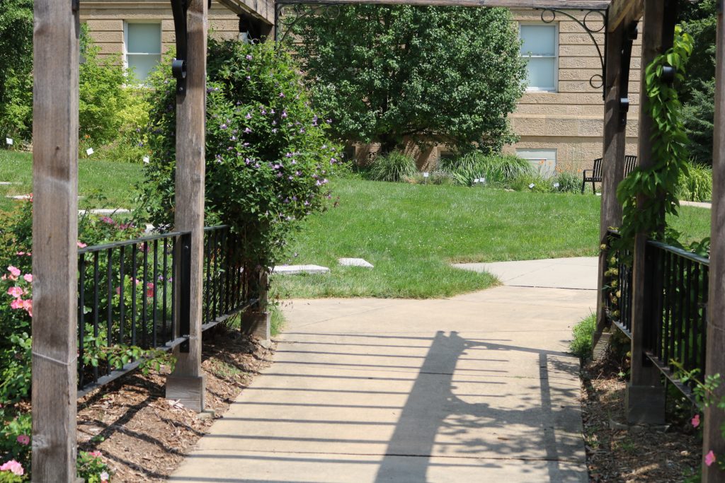 Garden Lawn