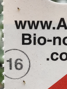 parasitoid wasp egg release card