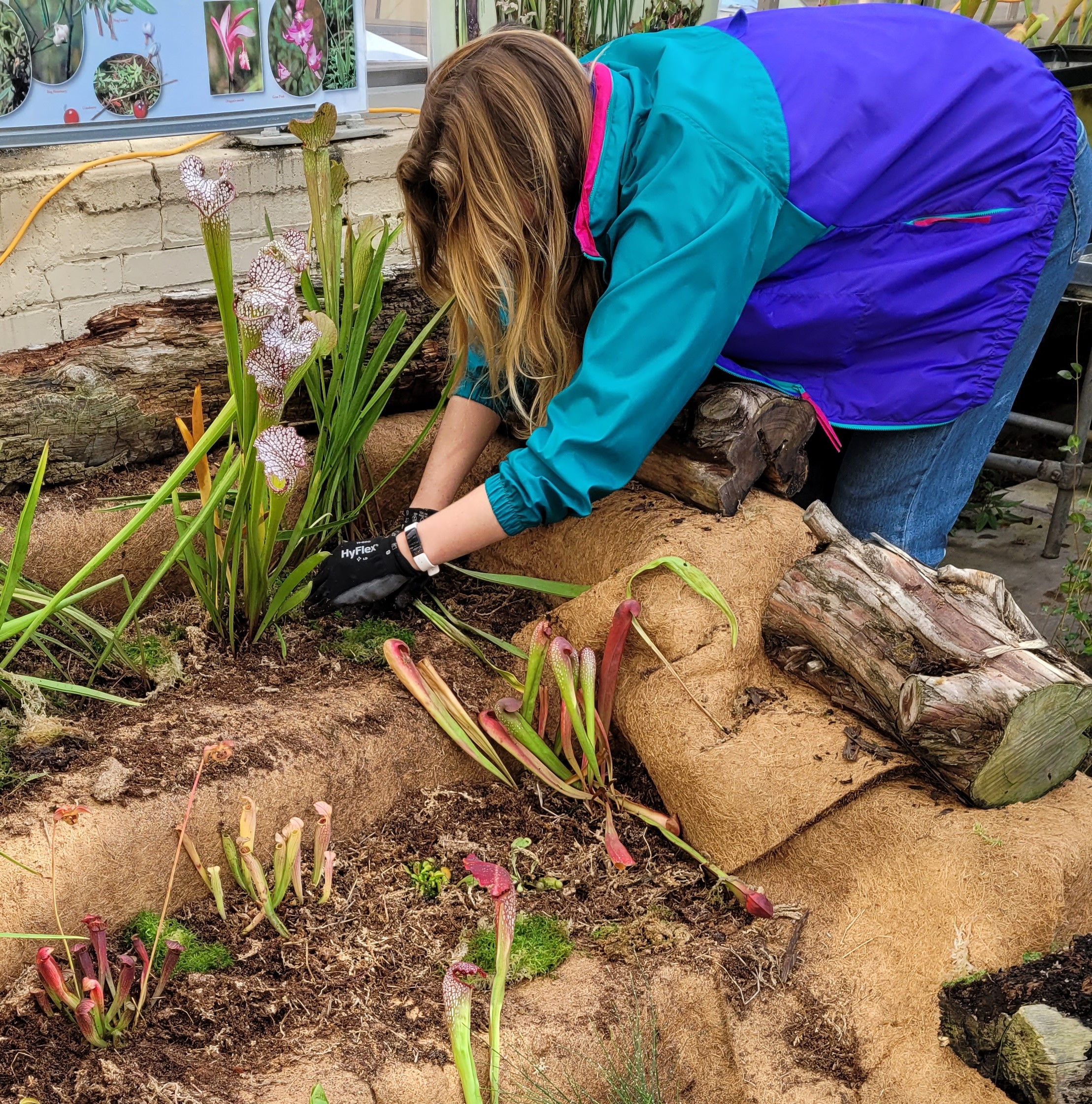 student planting in greenhouse