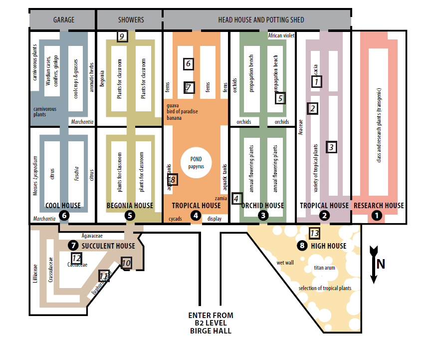 Greenhouse map showing plant locations