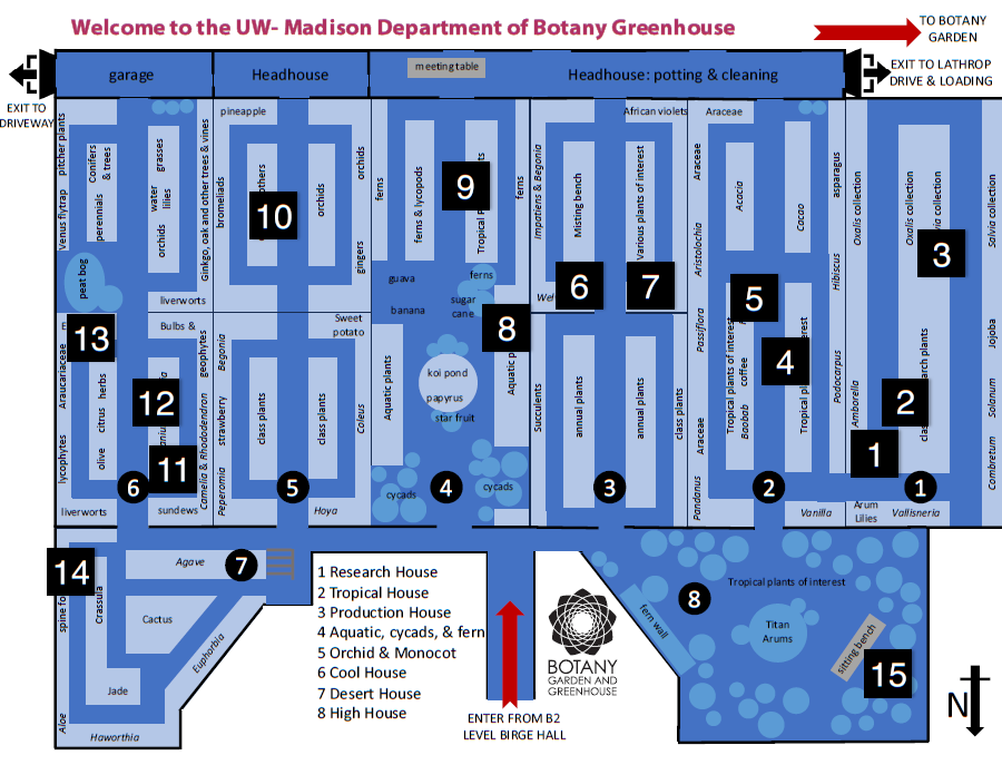 Greenhouse map showing plant locations