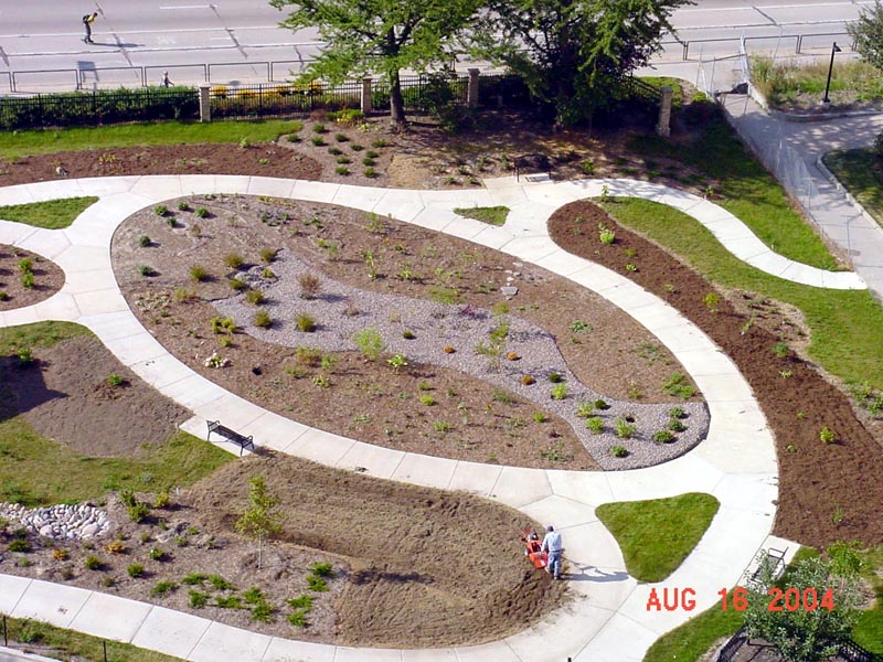 newly planted garden