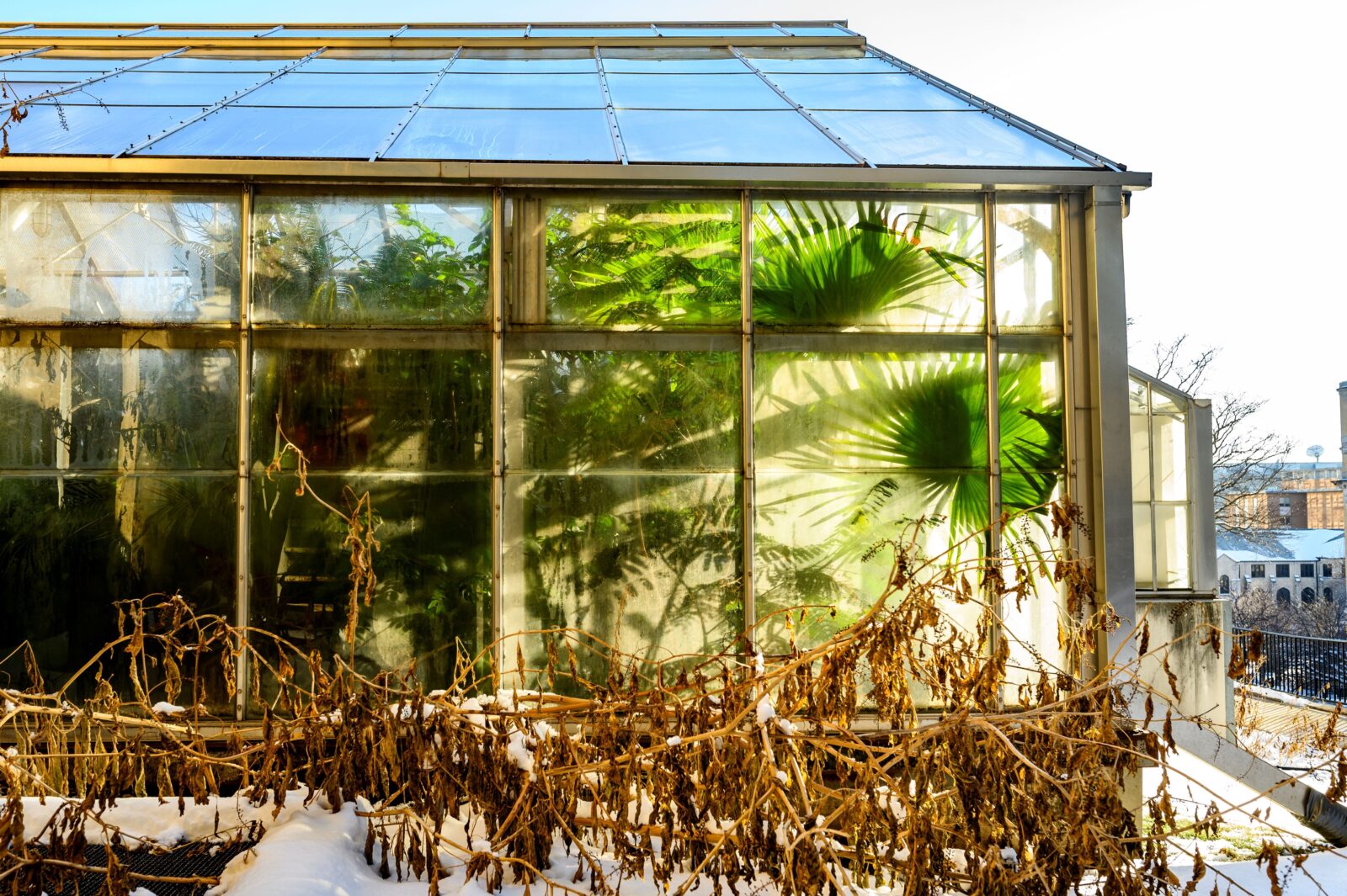 greenhouse exterior