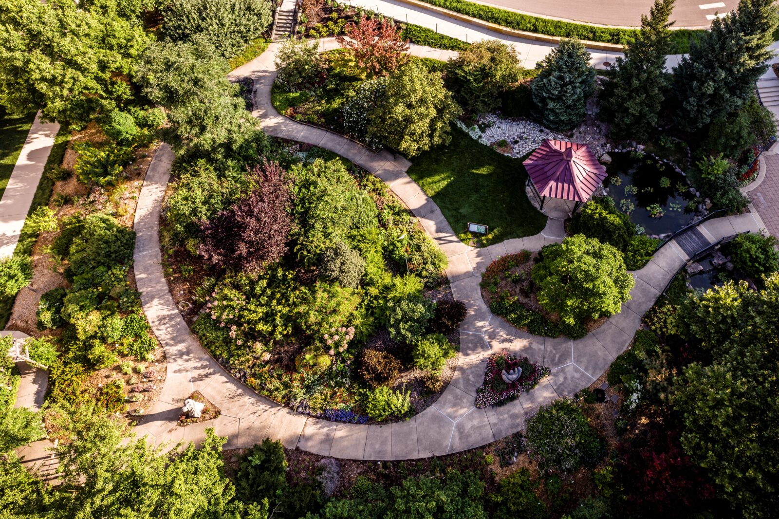 Aerial view of garden