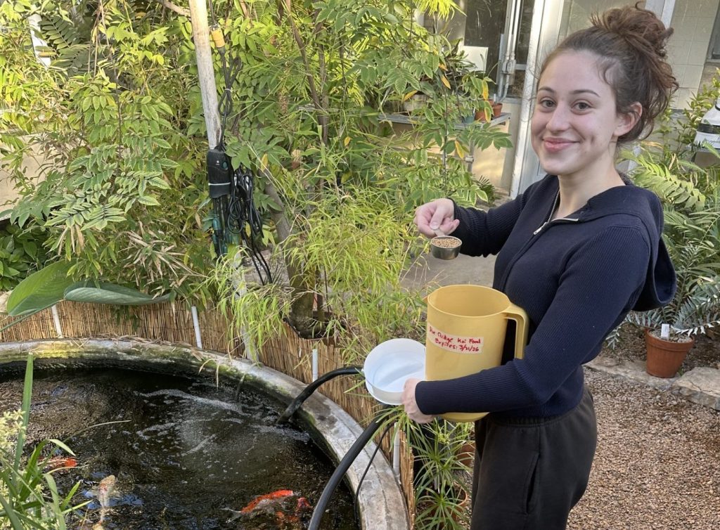 student feeding fish